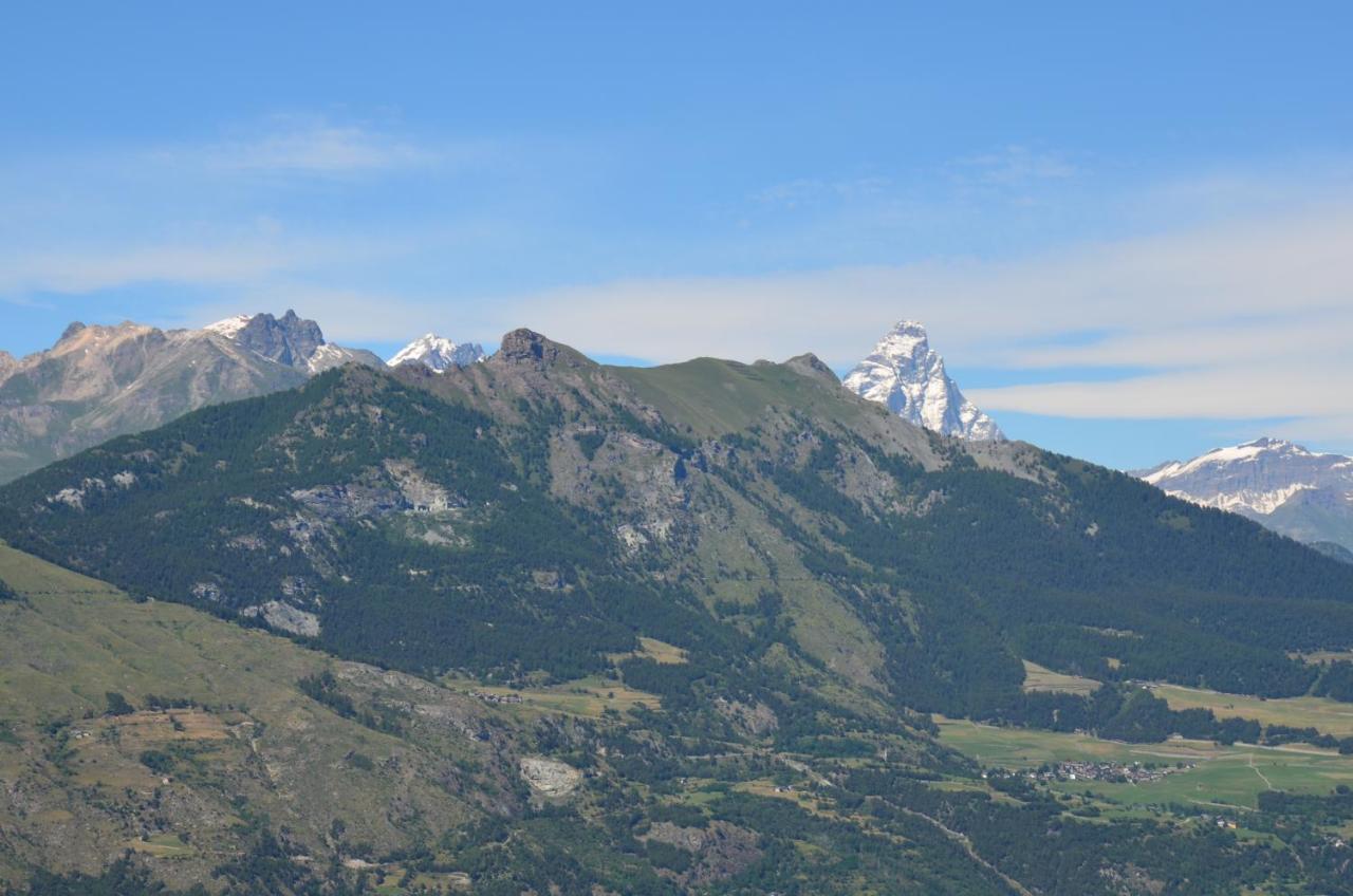 Confrérie Du Moyen âge
